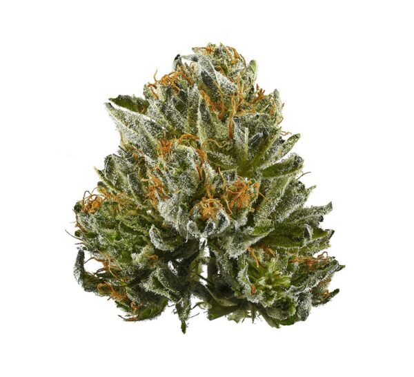 Buy weed in Alameda