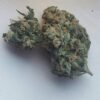 buy weed in Alhambra
