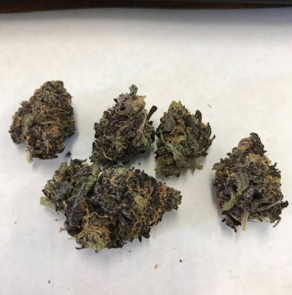 Purple Urkle