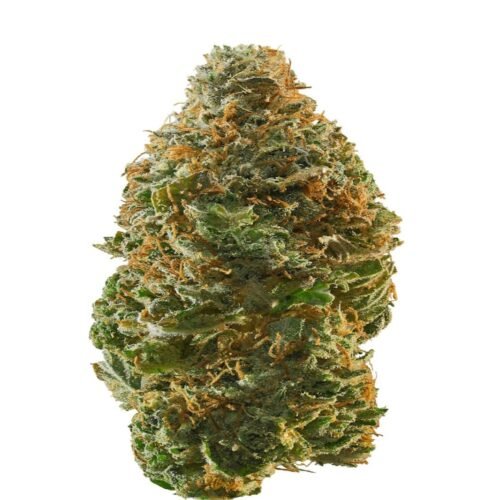 best marijuana shop Atascadero