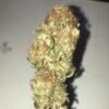 Kosher Kush