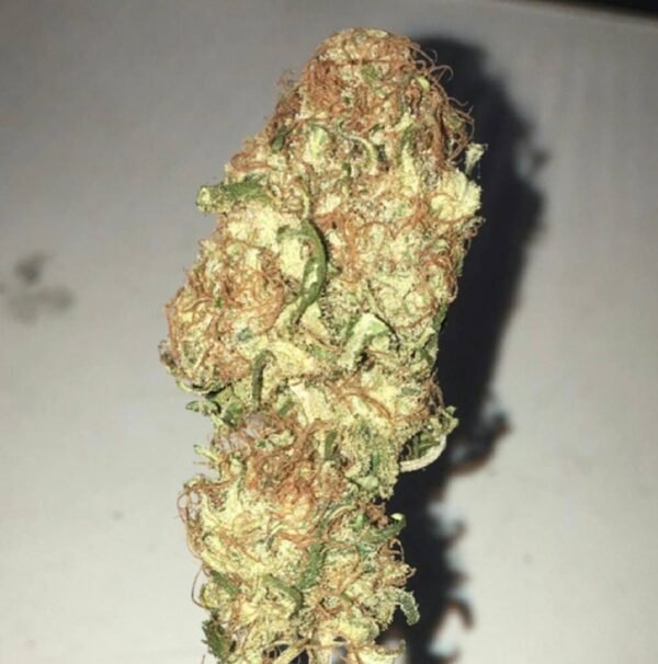 Kosher Kush