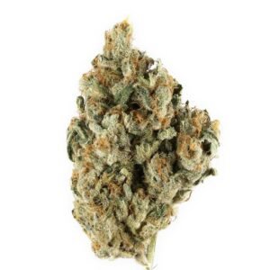 cannabis near Atascadero CA