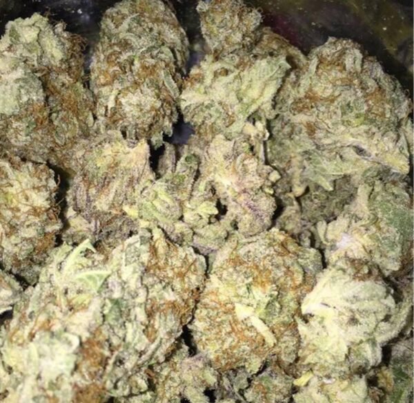 cannabis near Atascadero CA
