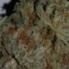 cannabis near Atascadero CA