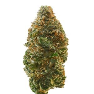 marijuana dispensary Auburn CA