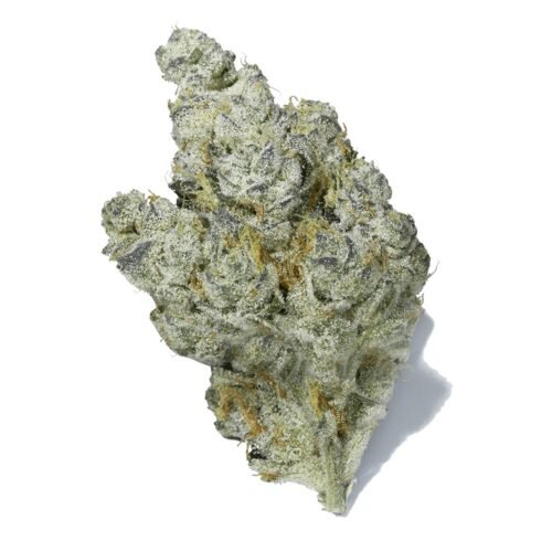 Avalon cannabis shop online