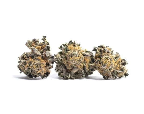 cannabis near Avalon CA