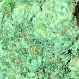 marijuana sale in Avalon CA